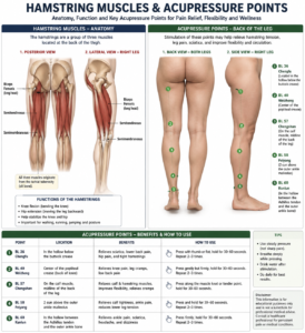 Acupressure pointsBL-40